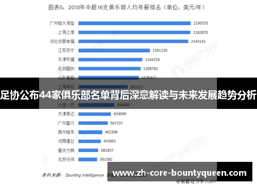 足协公布44家俱乐部名单背后深意解读与未来发展趋势分析