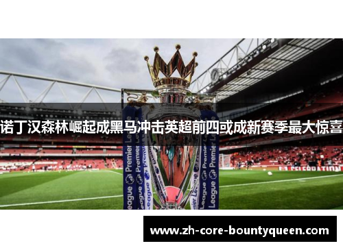 诺丁汉森林崛起成黑马冲击英超前四或成新赛季最大惊喜