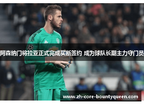 阿森纳门将拉亚正式完成买断签约 成为球队长期主力守门员 阿森纳门将拉亚正式完成买断签约 成为球队长期主力守门员
